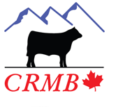 canadian rocky mountain beef